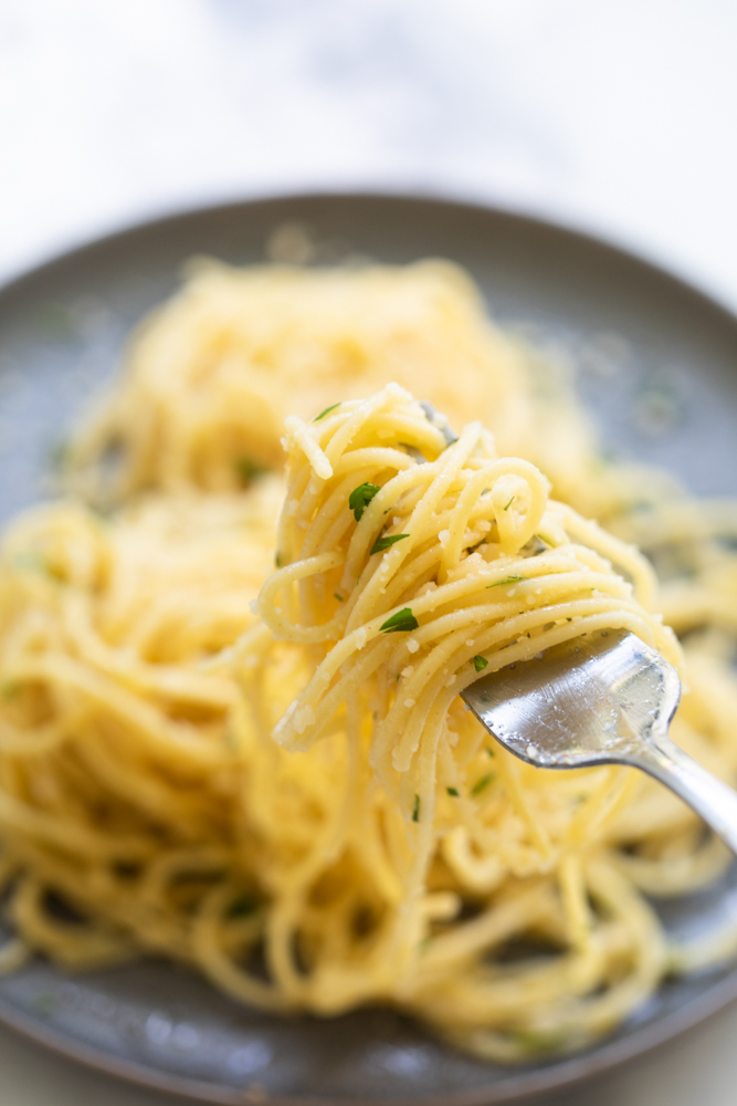 cooked spaghetti pasta twirled around a fork